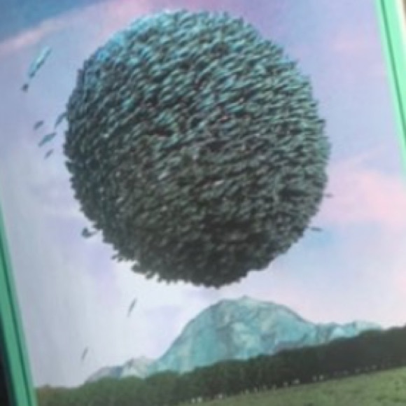 Meet your Posher, Colin - Picture 1 of 1